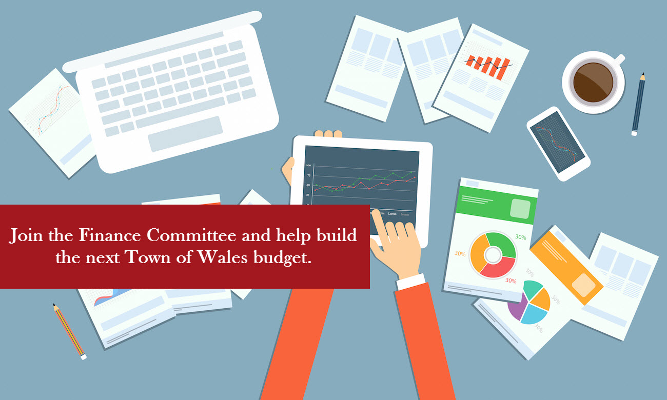 Help build the next Town of Wales' budget