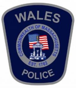 Wales Police