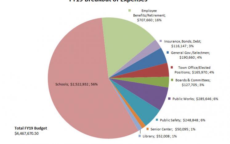 A pie chart illustrating how the FY19 budget is divided up among various departments.